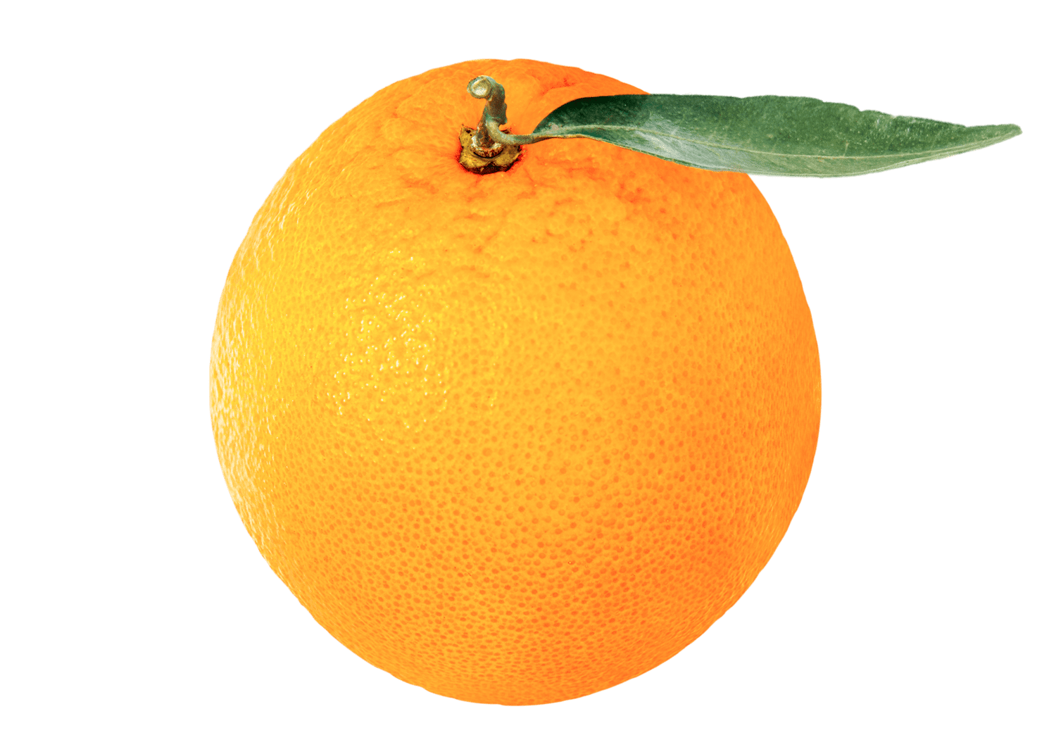 an orange